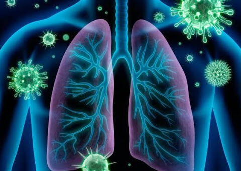 Pandemia: 99% das mortes estão relacionadas à covid-19