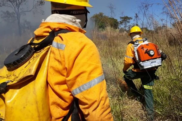 Inscrições para brigadistas começam na segunda