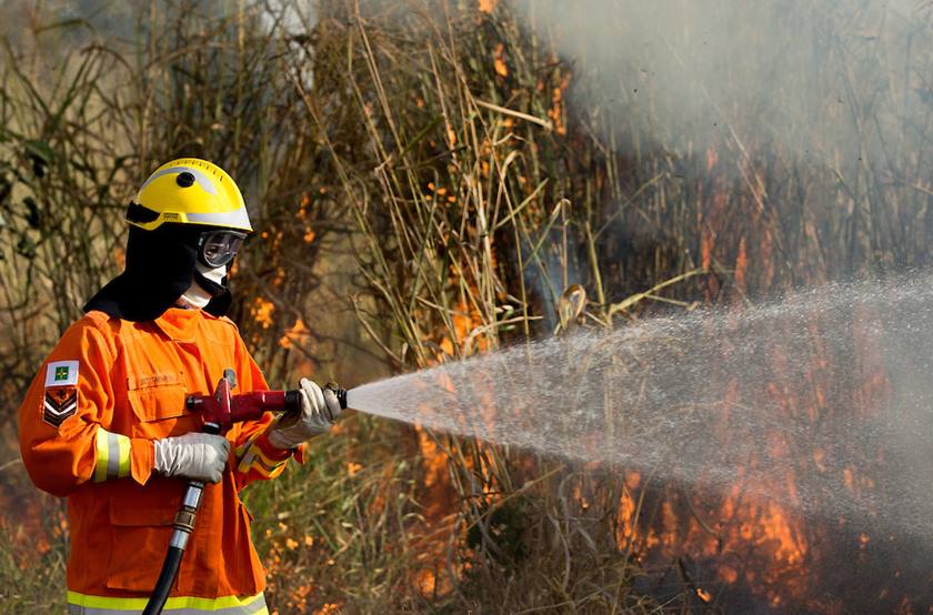 DF: As vagas estão divididas para supervisores e chefes de brigada, além de brigadistas florestais combatentes. Foto: Rafaela Felicciano/Metrópoles