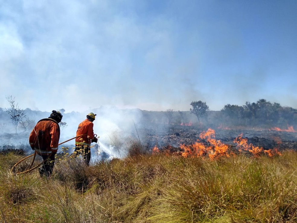 Incêndios: GDF vai contratar brigadistas para combater focos nas florestas