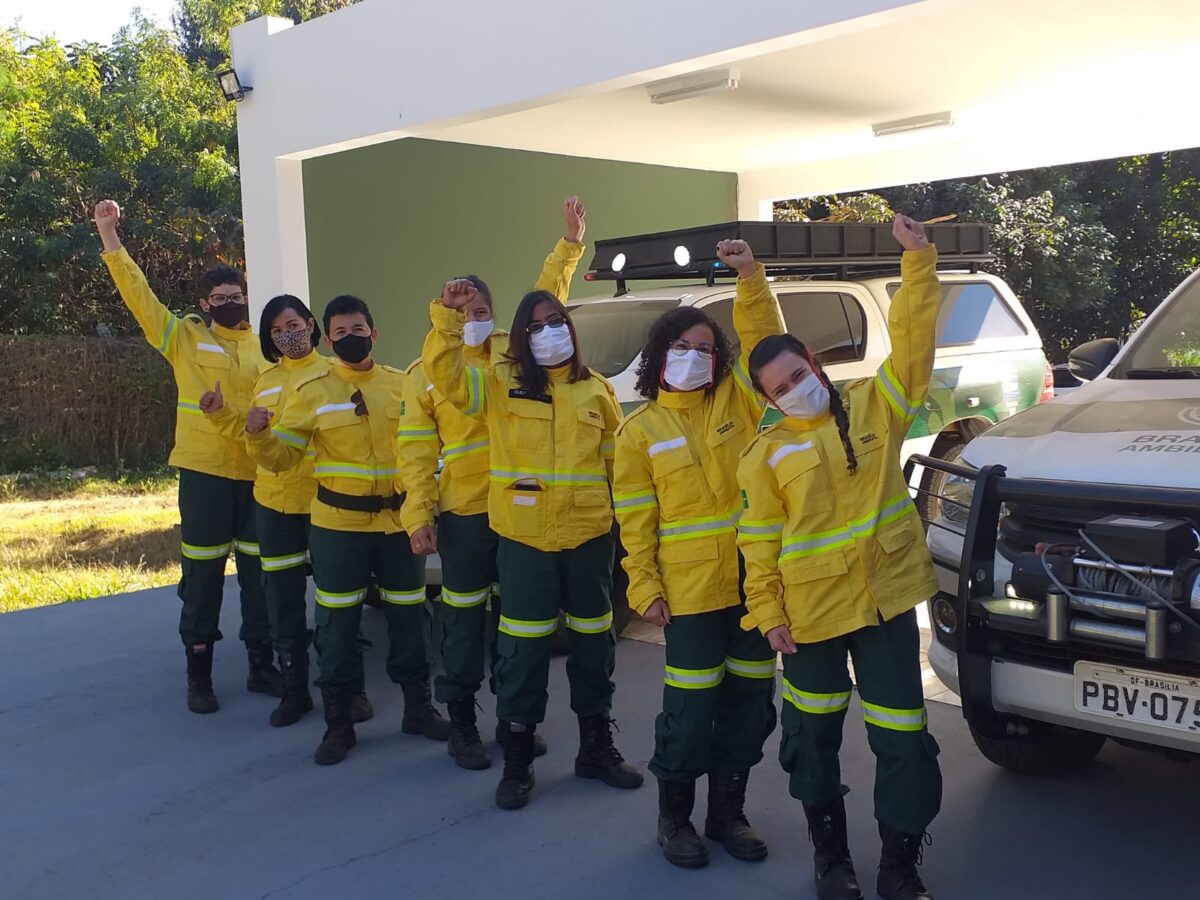 O amor à natureza e o desejo de contribuir com a preservação do meio ambiente unem essas mulheres. Foto: Divulgação/Secretaria do Meio Ambiente