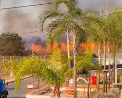 Bombeiros do DF atuaram por 4h30 para apagar incêndio próximo ao Setor Noroeste. Foto: Reprodução