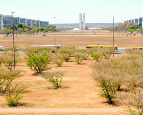 Baixa umidade do ar: É preciso reforçar os cuidados durante o período para minimizar os efeitos da seca Foto: Paulo H. Carvalho/Agência Brasília