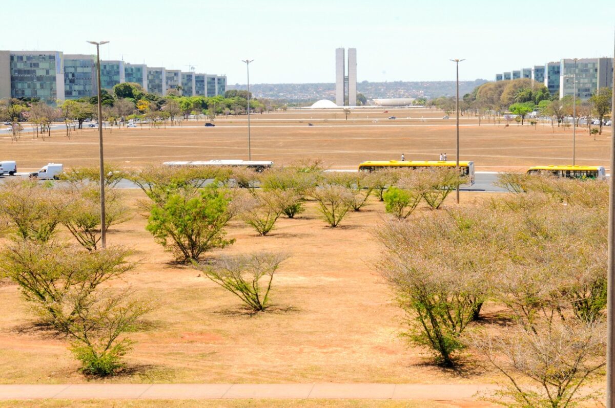 Baixa umidade do ar: É preciso reforçar os cuidados durante o período para minimizar os efeitos da seca Foto: Paulo H. Carvalho/Agência Brasília