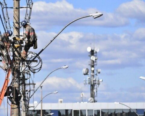 A Neoenergia realizará serviços de poda de árvores e troca de componentes eletrônicos na Asa Sul e Brazlândia. Foto: Divulgação