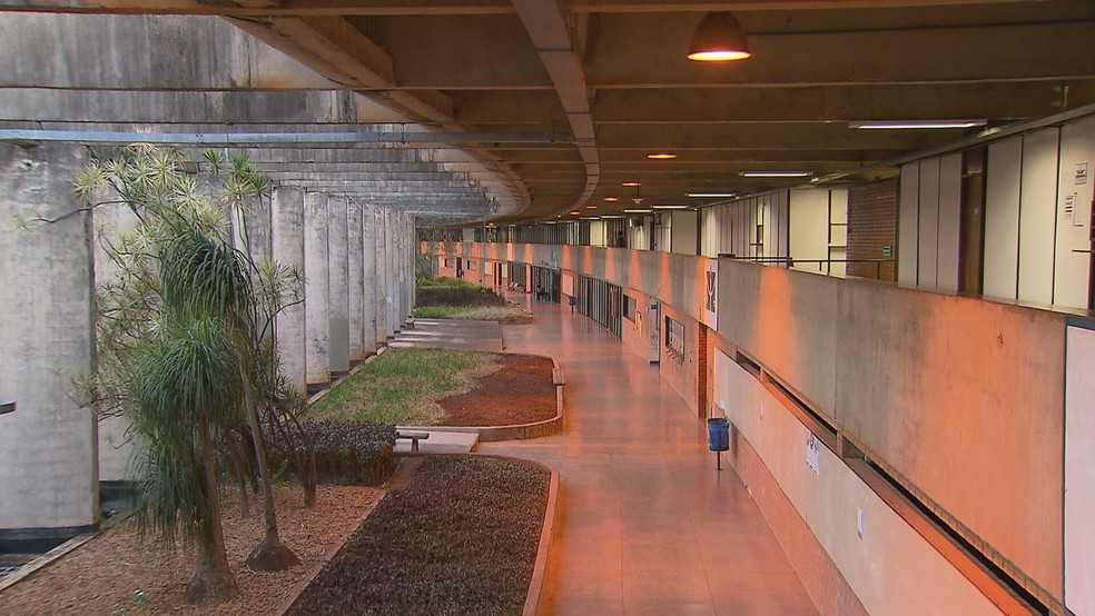 CNPq: Conselho nega perda de informações e diz que problema não vai prejudicar pagamento de bolsas. Foto: TV Globo/Reprodução