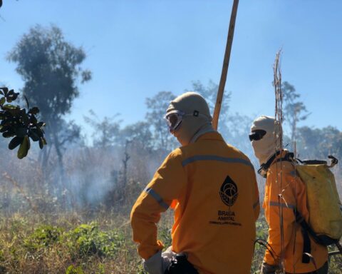 Ibram: A nova convocação reforça a brigada formada para o combate aos incêndios durante o período de seca. Foto: Arquivo/Brasília Ambiental