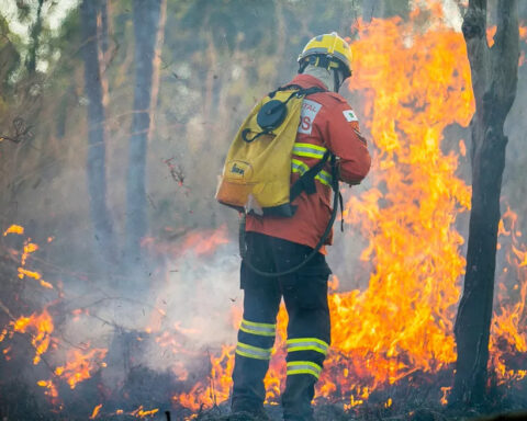 Na primeira quinzena de agosto foram detectados 21 focos de queimadas florestais no DF. Foto: Corpo de Bombeiros/Divulgação