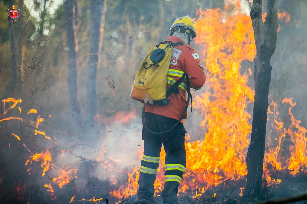 Na primeira quinzena de agosto foram detectados 21 focos de queimadas florestais no DF. Foto: Corpo de Bombeiros/Divulgação