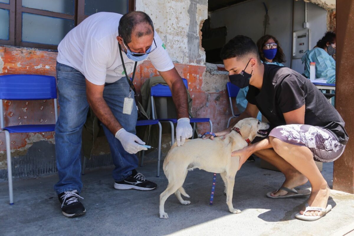 Raiva: Pontos seguem abertos em locais específicos e nos núcleos de Vigilância Ambiental. Foto: Breno Esaki/Agência Saúde-DF