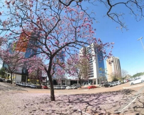 Alta Temperatura: a recomendação é que se beba mais água e umidifique os ambientes. Foto: Ed Alves/CB/D.A Press