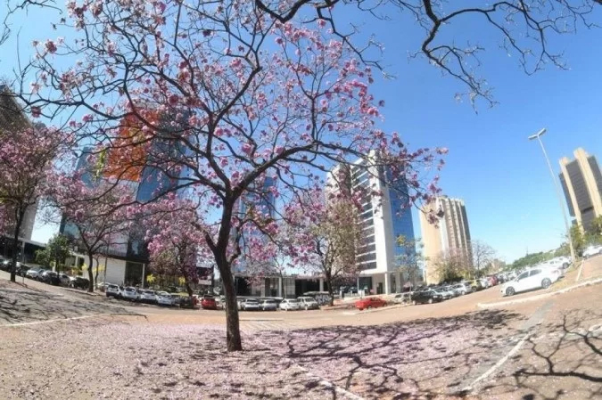 Alta Temperatura: a recomendação é que se beba mais água e umidifique os ambientes. Foto: Ed Alves/CB/D.A Press