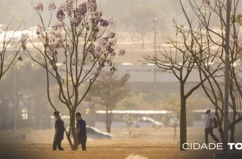 Previsão é que temperatura fique na casa dos 33º C e a umidade em 15%.. Foto: Igo Estrela/Metrópoles