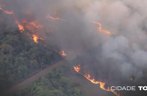 Cerrado: No acumulado de janeiro até 31 de agosto, foram 31.566 pontos de queimada no bioma. Foto: TV Globo/Reprodução