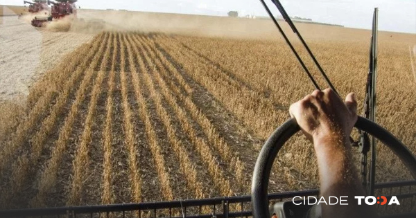 Expoabra Digital terá atividades presenciais e virtuais; evento ocorre entre os dias 13 e 18 de setembro. Foto: Grupo Cultivar