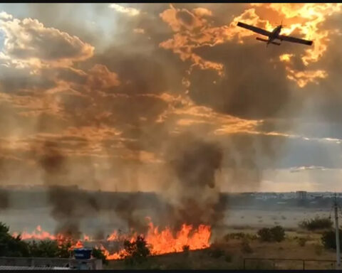 Incêndio no Parque Ezechias Heringer, no Guará, mobiliza bombeiros no DF. Foto: Reprodução