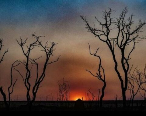 Chapada: As queimadas ocorrem em meio a um cenário de aumento de focos de incêndio no Cerrado. Foto: Leopoldo Silva