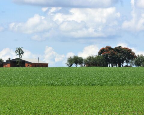 Pesquisa: Empresa que fará o levantamento será contratada por pregão eletrônico. Foto: Agência Brasília