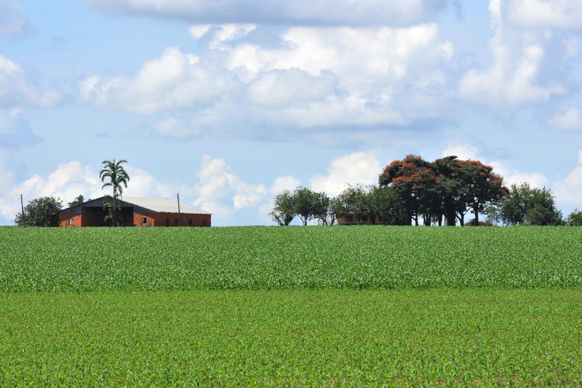 Pesquisa: Empresa que fará o levantamento será contratada por pregão eletrônico. Foto: Agência Brasília