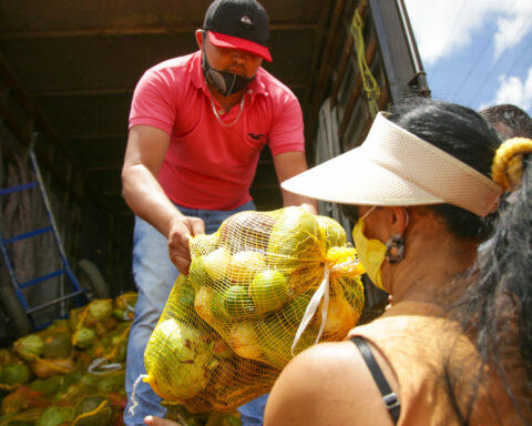 São mais de 164 mil quilos de verduras, legumes e frutas variadas distribuídos em cestas para reforçar a ceia natalina. Foto: Tony Oliveira