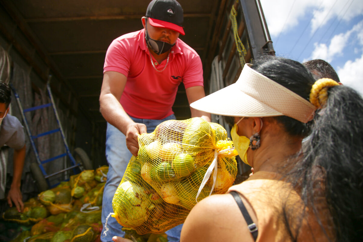 São mais de 164 mil quilos de verduras, legumes e frutas variadas distribuídos em cestas para reforçar a ceia natalina. Foto: Tony Oliveira