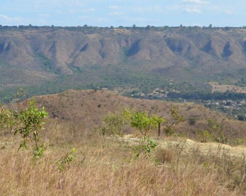 Parques Ecológicos: Revitalizações, elaboração de planos de manejo e ações de combate aos incêndios florestais estão entre os destaques. Foto: Ascom/Brasília Ambiental