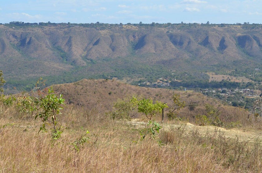 Parques Ecológicos: Revitalizações, elaboração de planos de manejo e ações de combate aos incêndios florestais estão entre os destaques. Foto: Ascom/Brasília Ambiental