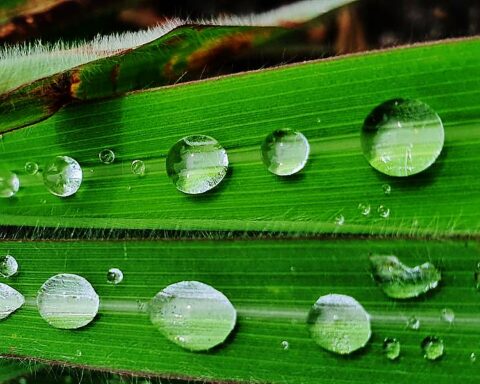 De acordo com o Inmet, a capital federal está em alerta amarelo, que significa chuvas intensas. Foto: Divulgação