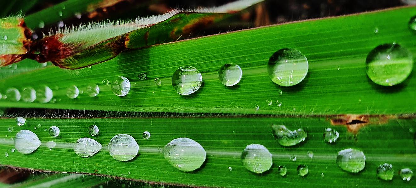 De acordo com o Inmet, a capital federal está em alerta amarelo, que significa chuvas intensas. Foto: Divulgação