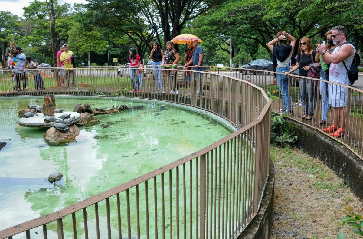 Zoológico e Torre de TV levam turistas a buscar espaços ao ar livre. Fotos: Lúcio Bernardo Jr/Agência Brasília