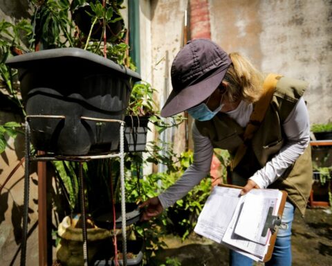 Em 2021, os casos de dengue no DF apresentaram queda de 68%, em comparação com os dados de 2020. Foto: Breno Esaki/Agência Saúde-DF