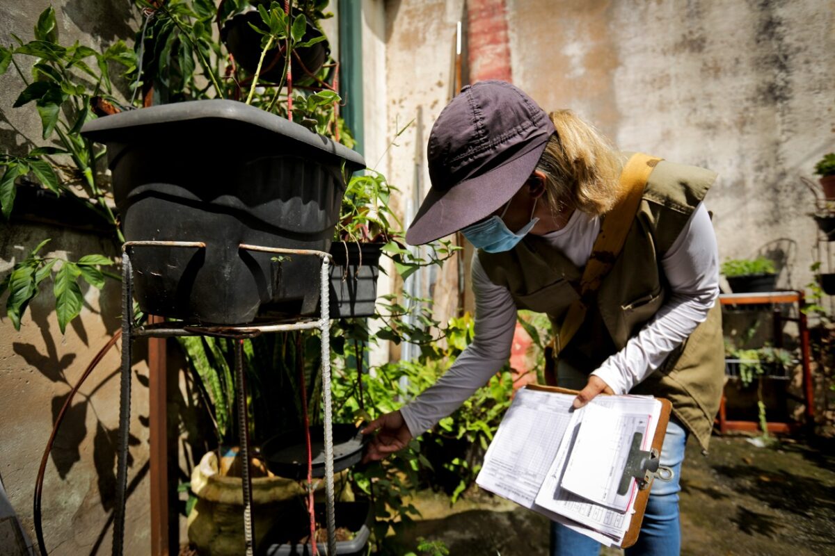 Em 2021, os casos de dengue no DF apresentaram queda de 68%, em comparação com os dados de 2020. Foto: Breno Esaki/Agência Saúde-DF