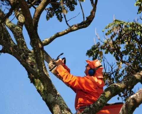 Rede Elétrica: As equipes atuarão em diversos endereços de Ceilândia, Gama, Sobradinho e Sudoeste. Foto: Lúcio Bernardo Jr./Agência Brasília