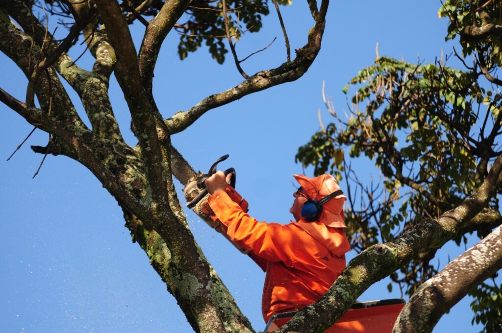 Rede Elétrica: As equipes atuarão em diversos endereços de Ceilândia, Gama, Sobradinho e Sudoeste. Foto: Lúcio Bernardo Jr./Agência Brasília