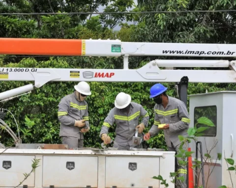 Energia: Serão feitos serviços de manutenção e poda de árvores em São Sebastião, Paranoá, Vicente Pires, Lago Sul e Arniqueira. Foto: Divulgação