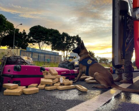 As prisões ocorreram na BR 020 e contaram com o apoio do Grupo de Operação com Cães da PRF. Foto: Divulgação