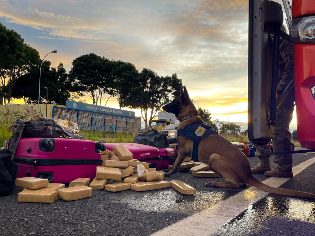 As prisões ocorreram na BR 020 e contaram com o apoio do Grupo de Operação com Cães da PRF. Foto: Divulgação