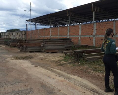 Autuação foi baseada em Decreto que determina que a madeira precisa estar armazenada em um pátio homologado para estar legalizada. Foto: Divulgação/Brasília Ambiental