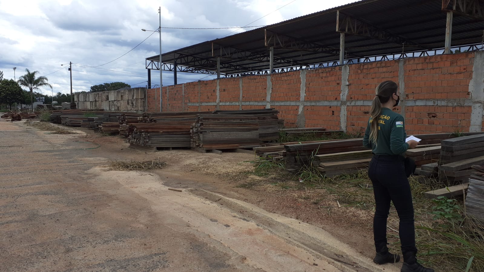 Autuação foi baseada em Decreto que determina que a madeira precisa estar armazenada em um pátio homologado para estar legalizada. Foto: Divulgação/Brasília Ambiental