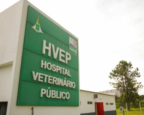 Hvep: Em casos de retornos agendados para essas datas, o tutor deverá entrar em contato para realizar a remarcação. Foto: Tony Oliveira/Agência Brasília