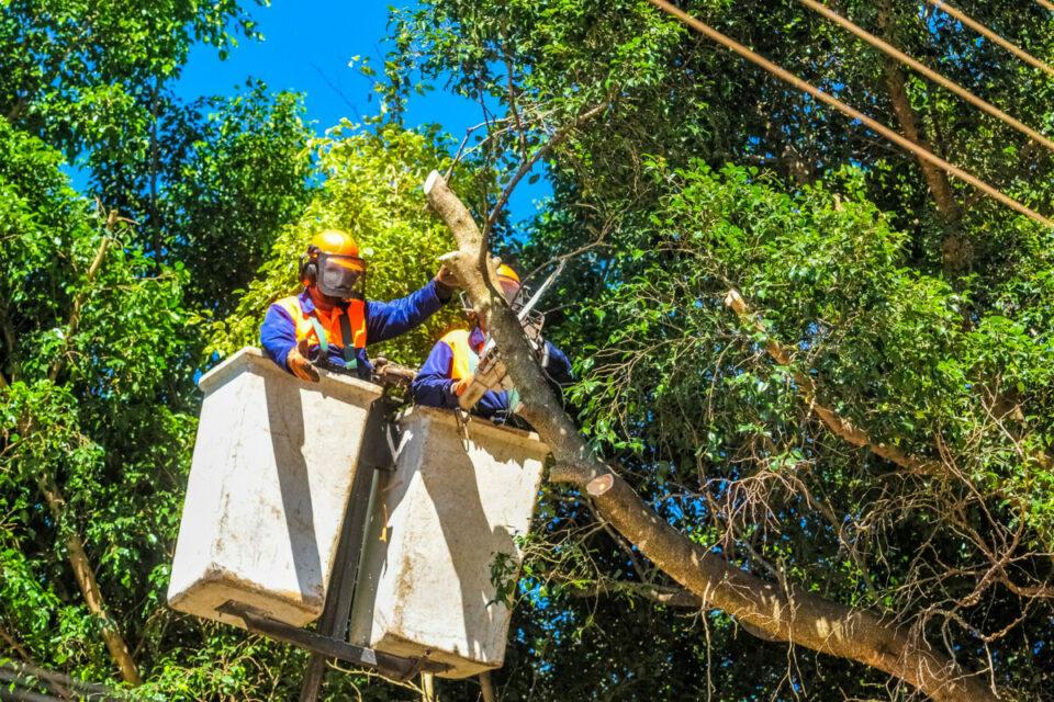 Sem Energia: Desligamento afetará pontos de Cruzeiro, Plano Piloto, Taguatinga, Paranoá, Samambaia, Lago Norte, Planaltina e Sobradinho. Foto: Divulgação