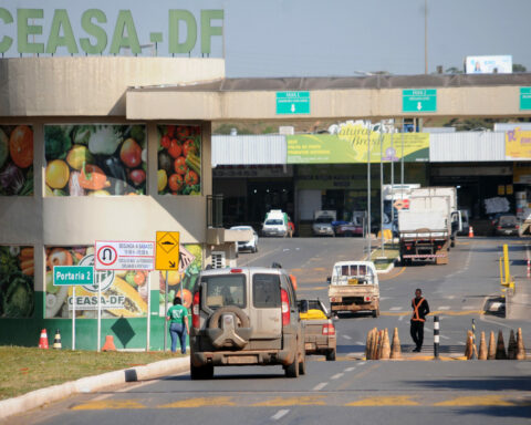 Semana Santa: Procura por pescados cresce aproximadamente 70% em espaço localizado na Ceasa-DF. Foto: Lúcio Bernardo Jr / Agência Brasília