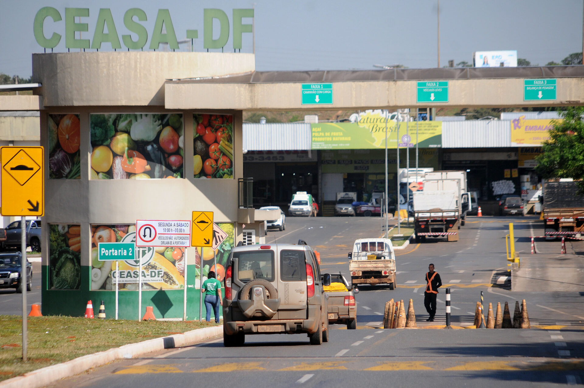 Semana Santa: Procura por pescados cresce aproximadamente 70% em espaço localizado na Ceasa-DF. Foto: Lúcio Bernardo Jr / Agência Brasília