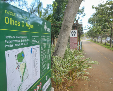 Reviva Parque: Projeto de recuperação das áreas verdes do DF é feito por meio de parceria entre órgãos do GDF. Foto: Geovana Albuquerque/Agência Brasília