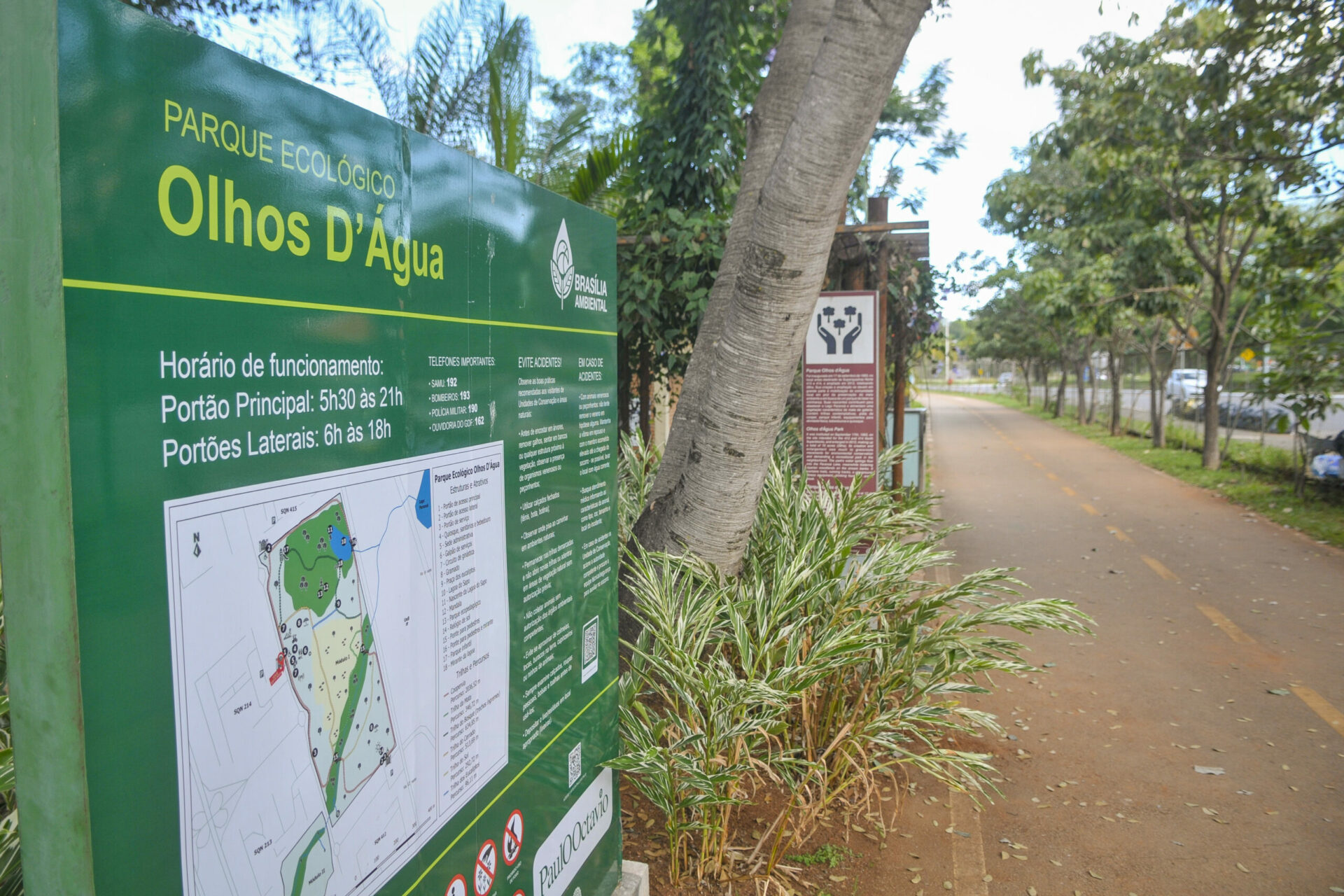 Reviva Parque: Projeto de recuperação das áreas verdes do DF é feito por meio de parceria entre órgãos do GDF. Foto: Geovana Albuquerque/Agência Brasília