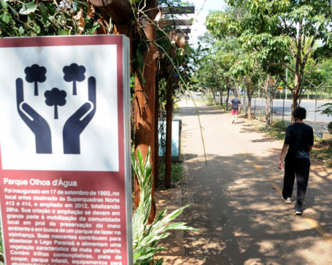 Unidades de conservação são parques em que áreas de uso público e de preservação convivem juntas. Foto: Lúcio Bernardo Jr/Agência Brasília