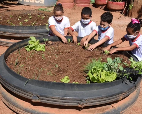 Educação: Aspectos culturais, econômicos, ciclos de produção, condições climáticas e tradições da comunidade camponesa são assuntos abordados nas unidades. Foto: Mary Leal