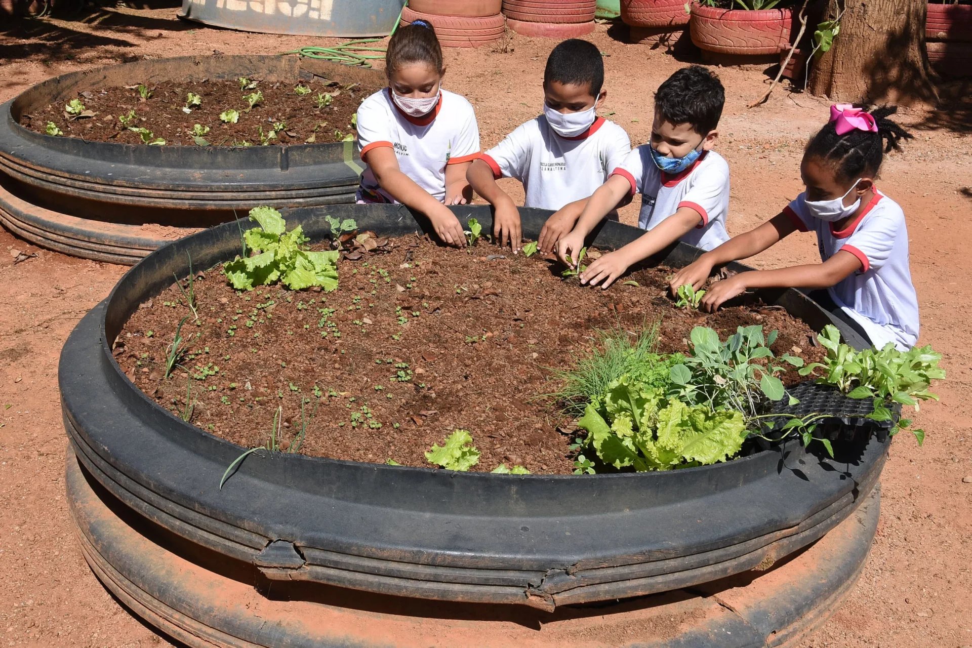 Educação: Aspectos culturais, econômicos, ciclos de produção, condições climáticas e tradições da comunidade camponesa são assuntos abordados nas unidades. Foto: Mary Leal