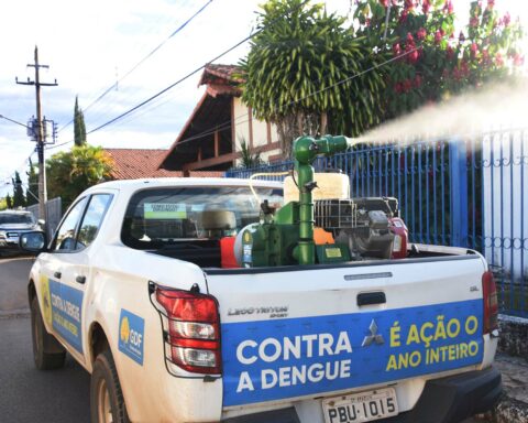 Dengue: Com a chegada do tempo frio, tendência é de menor proliferação do mosquito Aedes aegypti a partir de junho. Foto: Tony Winston/Agência Saúde