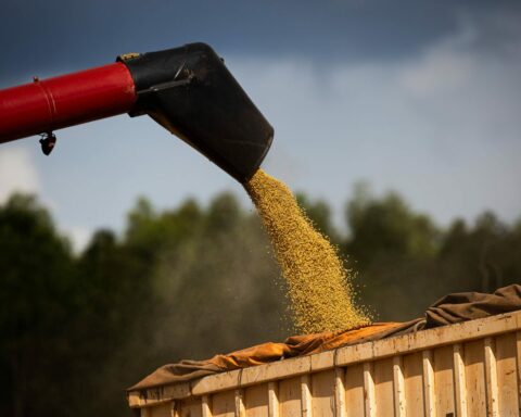 Agronegócio: O complexo soja liderou a lista de produtos mais vendidos pelo agro de Goiás, com US$ 876,5 milhões. Foto: Wenderson Araujo/CNA